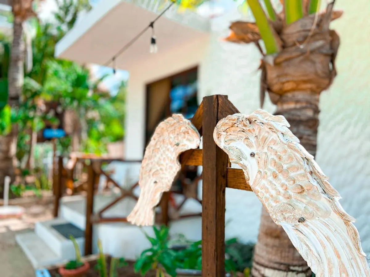 Sirenas Caribbean Rooms Holbox 0*, Isla Holbox Mexico
