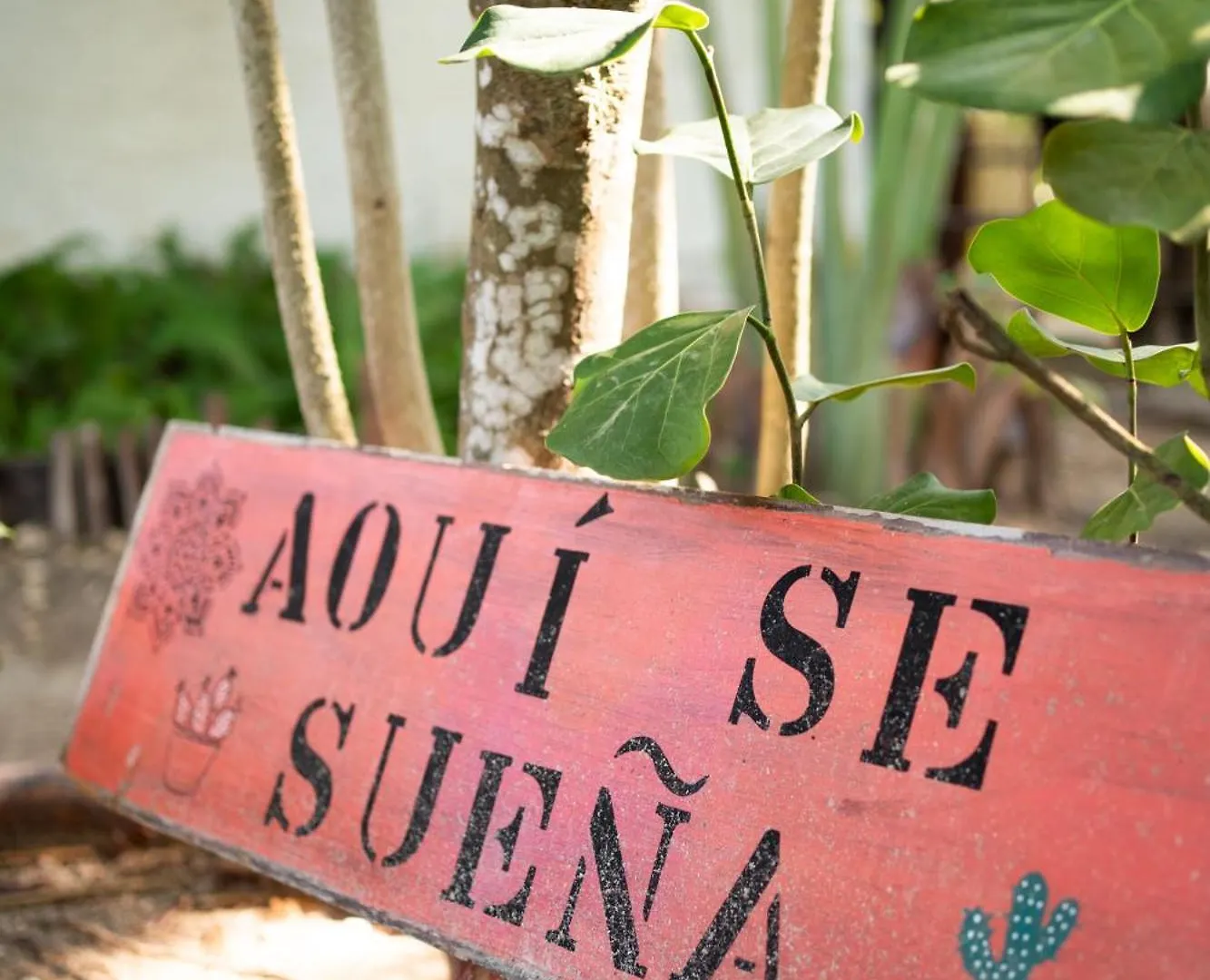 Sirenas Caribbean Rooms Holbox Hotel