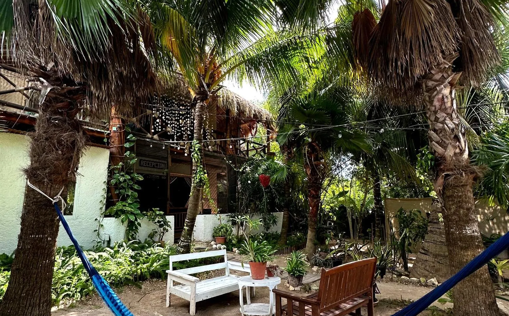 Sirenas Caribbean Rooms Holbox 0*, Isla Holbox