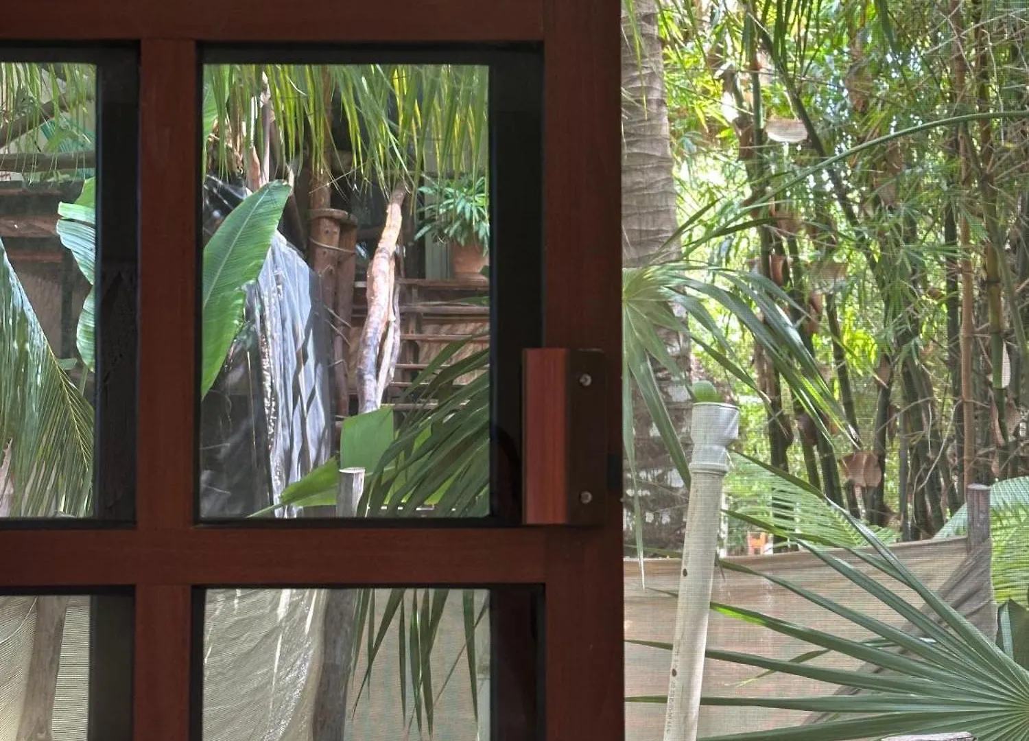 Sirenas Caribbean Rooms Holbox Hotel Isla Holbox