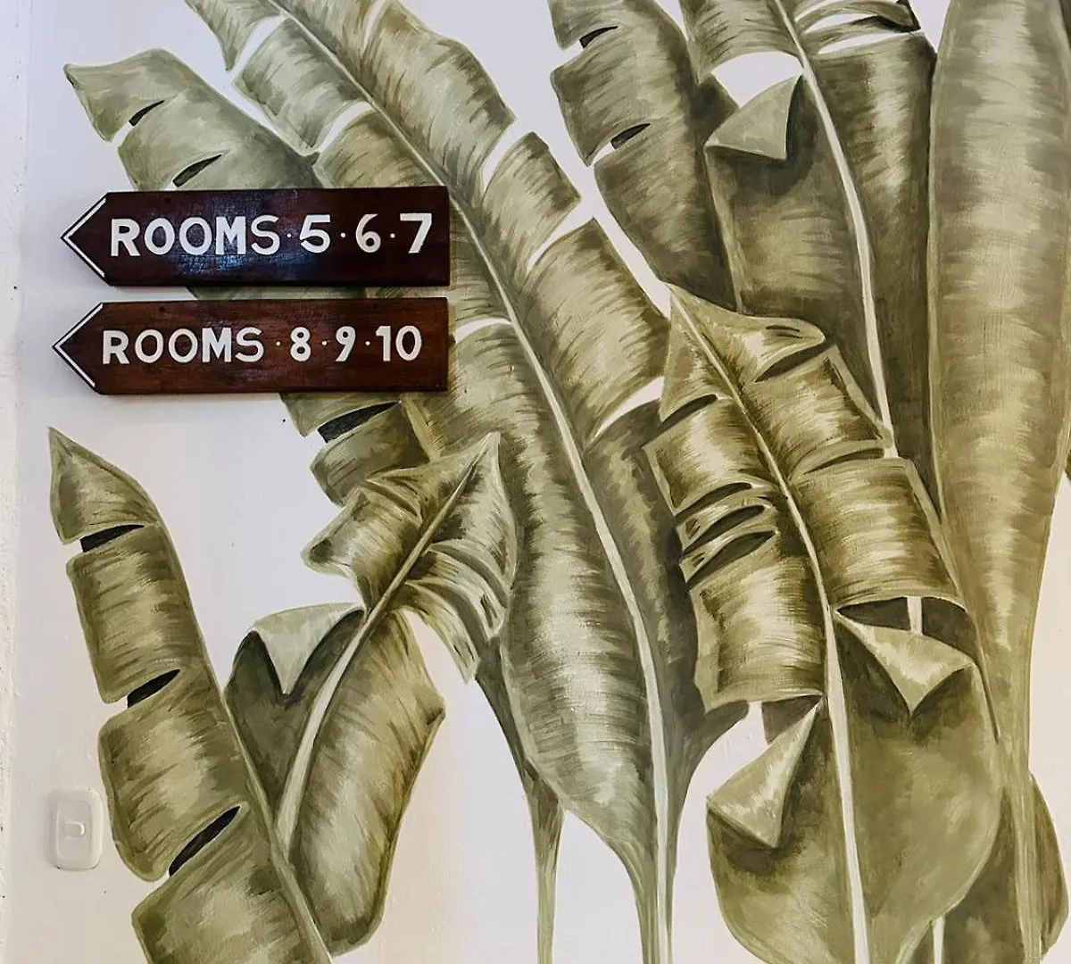 Sirenas Caribbean Rooms Holbox